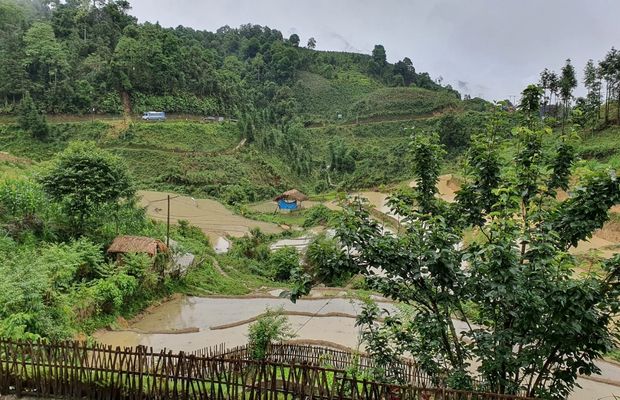 Bac Ha in the summer